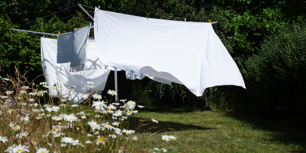 freshly laundered bedsheets drying on a clothesline