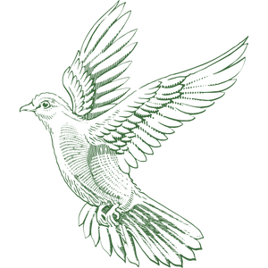Luxury Gifts icon