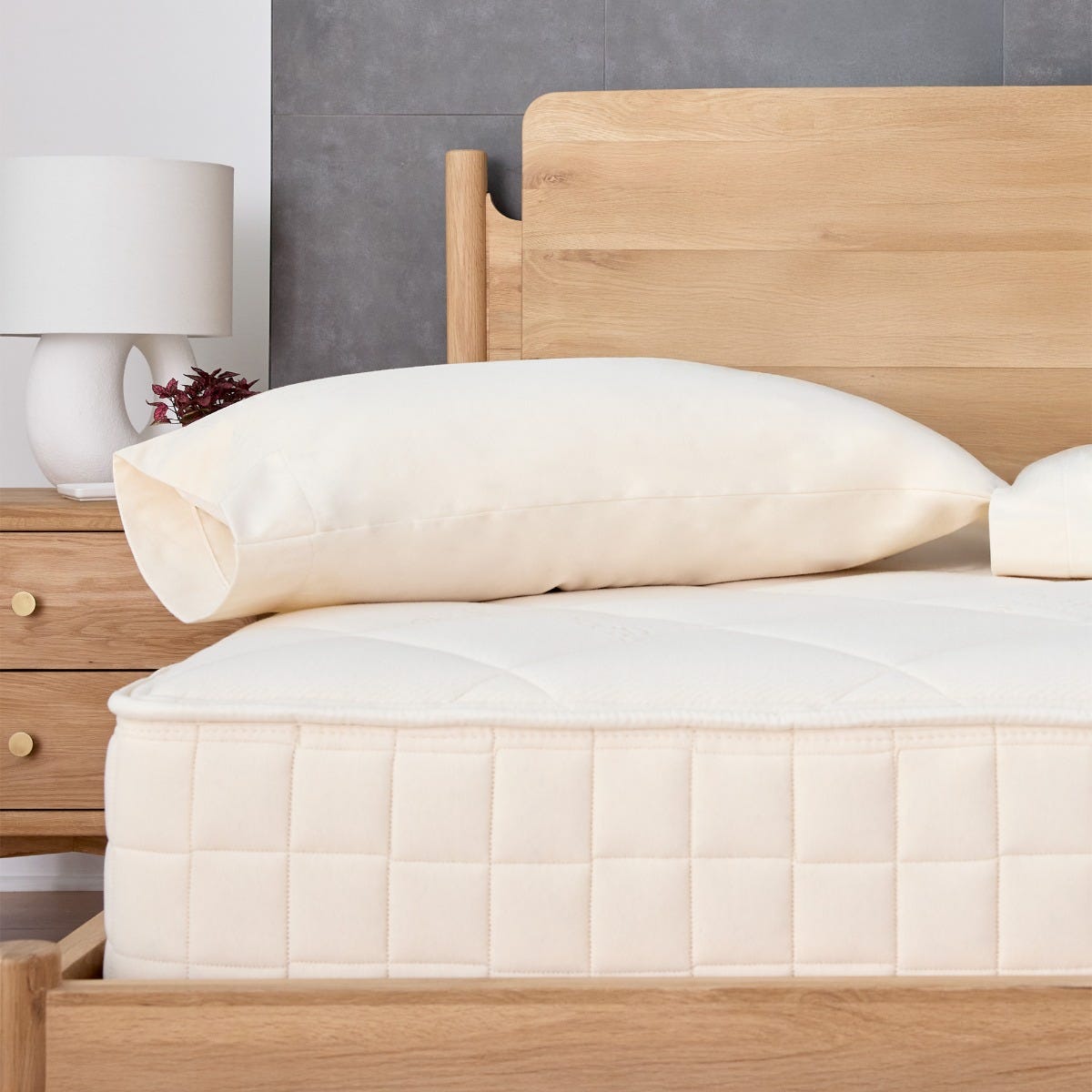 Organic Cotton Waterproof Pillow Protector