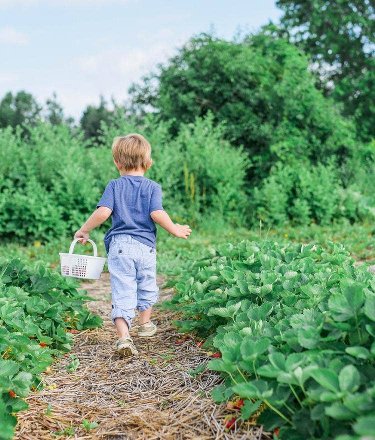 5 Organic Ways To Pass The Time With Your Kids