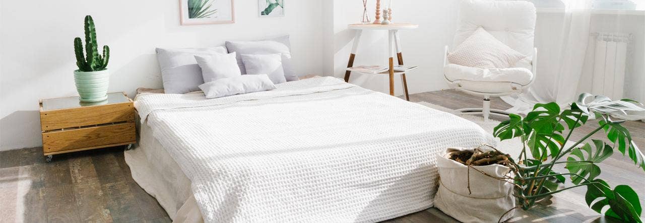 bedroom with white linens and plants