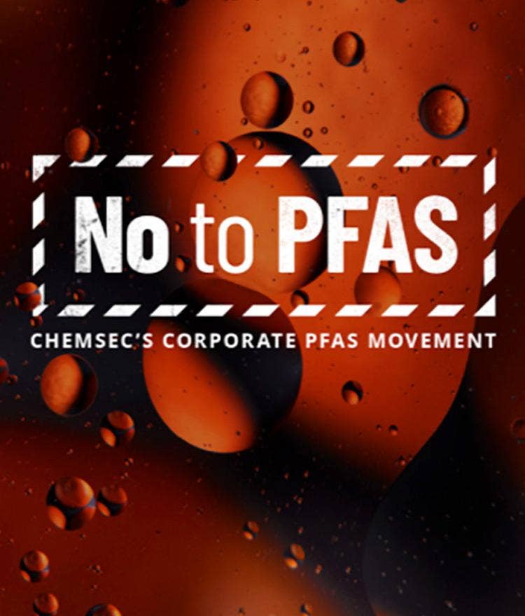 Forever Chemicals – Why Joining the Movement to Say “No To PFAS” Matters 