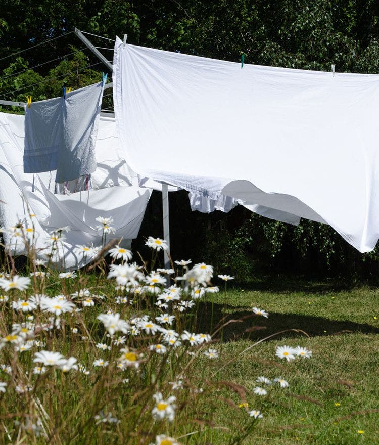 white bedsheets hanging on a clothesline
