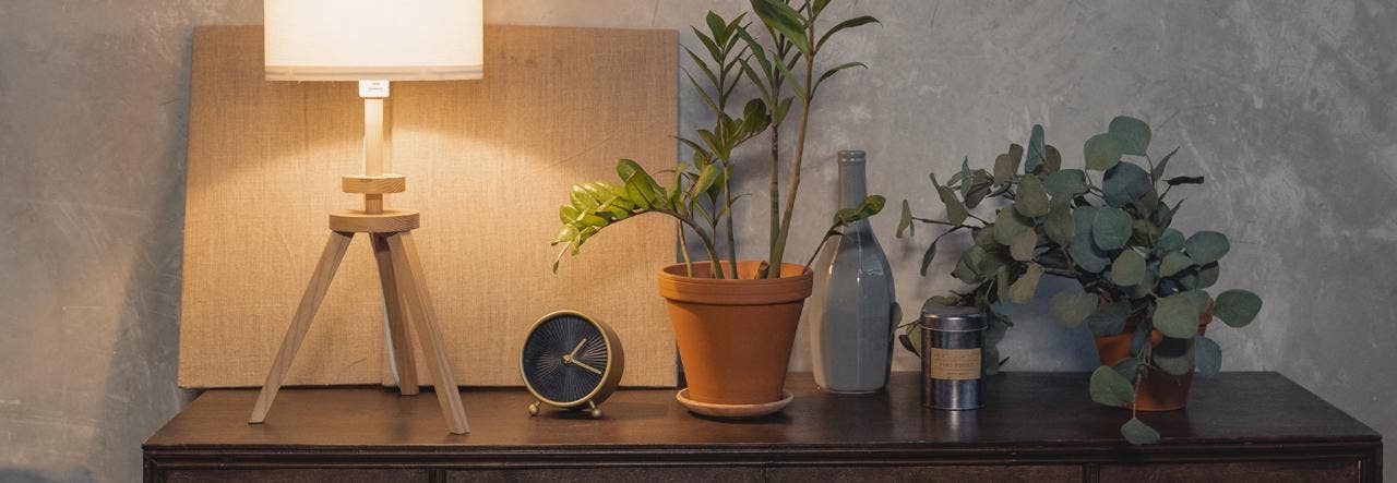 bedside table with plants lamp and essential oils