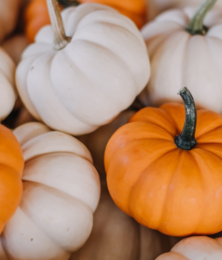  Creative Uses For Pumpkins You Probably Haven’t Tried