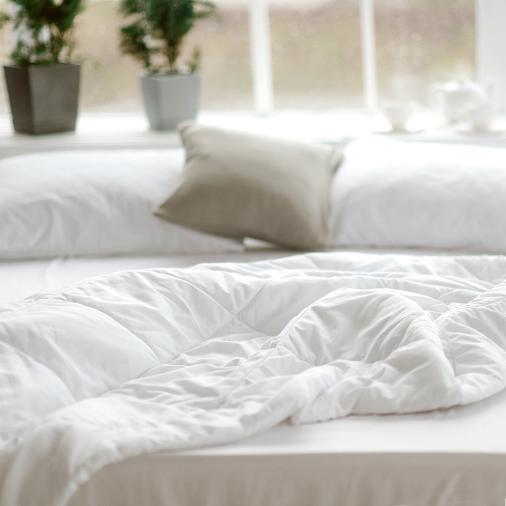 Down Duvet Insert Comforter with Organic Cotton Fabric