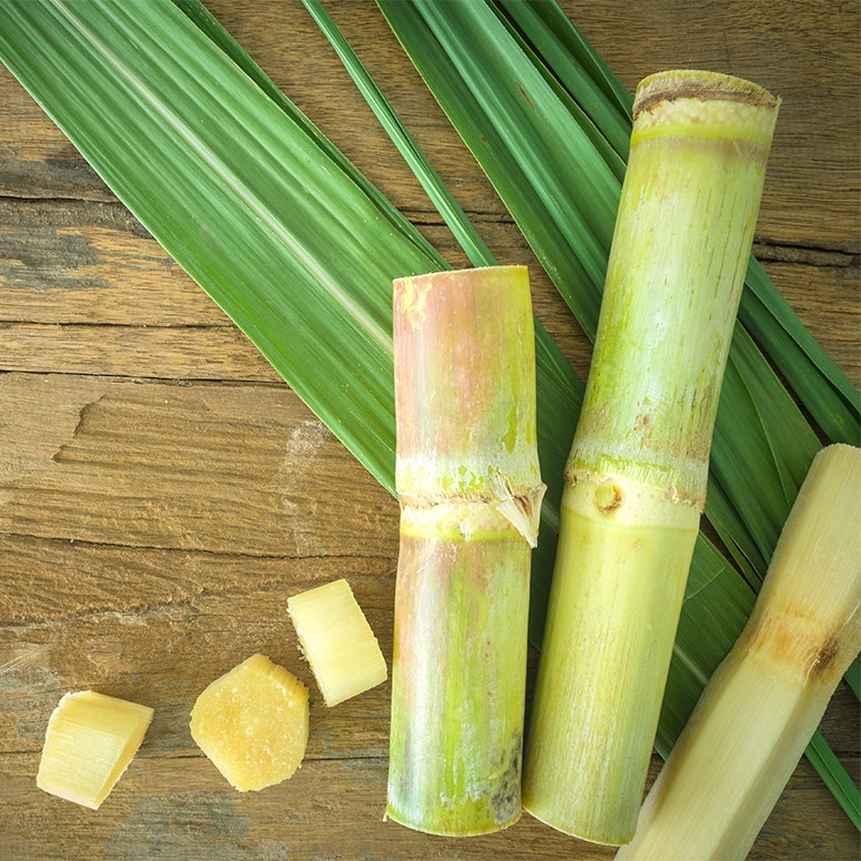 Pieces of raw sugar cane