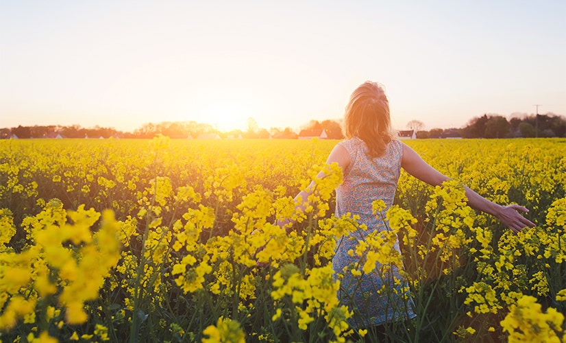 Woman enjoying the sunset in a field of yellow flowers