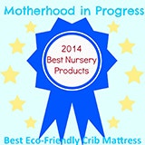 Motherhood in Progress Award