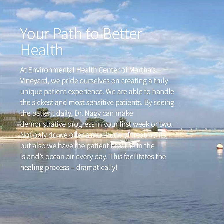 Screenshot from Lisa Nagy's website - Your Path to Better Health