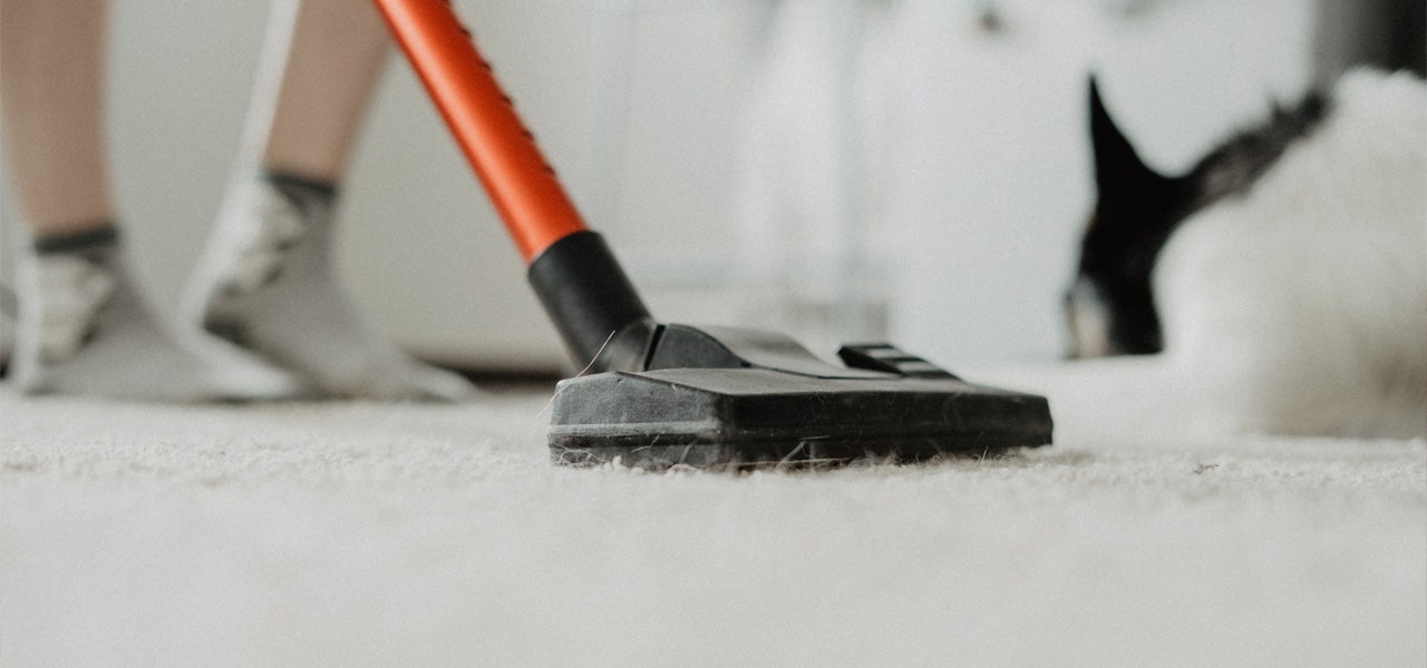 Close-up image of someone vacuuming an organic wool carpet