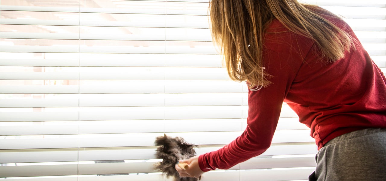 Woman dusting blonds with a feather duster