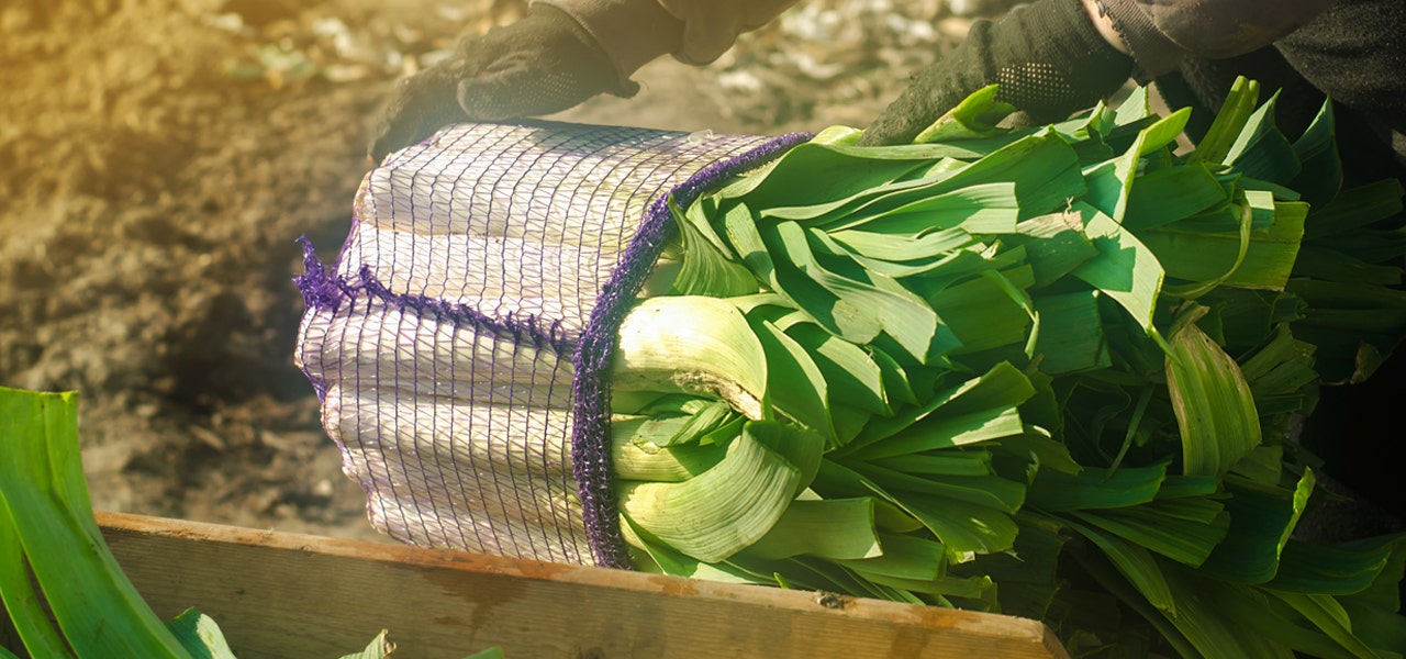 A bundle of sustainable, fresh greens on a wooden surface 