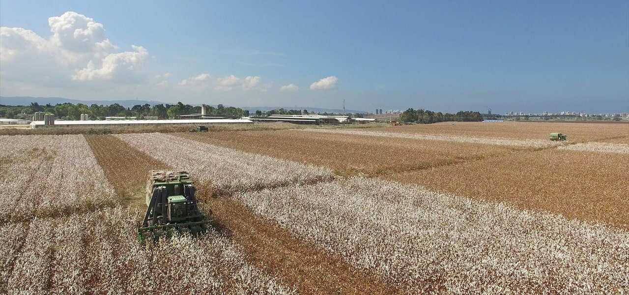 Wide shot showing an organic farm on a sunny day