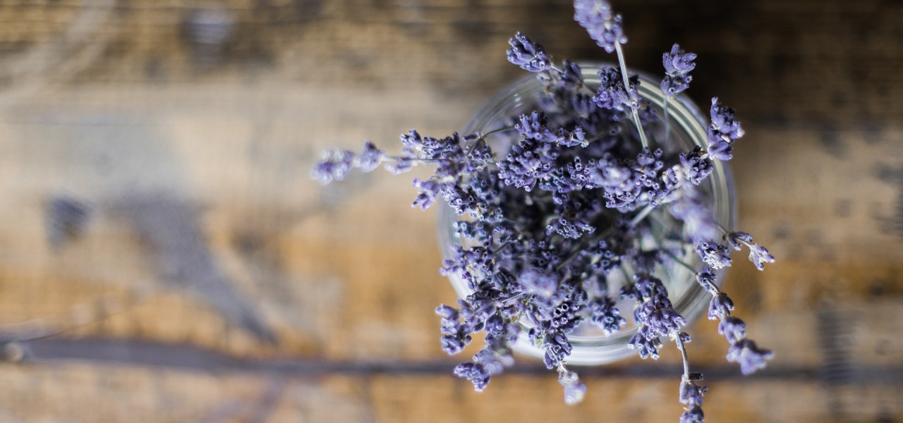 Lavendar plant in a mason jar