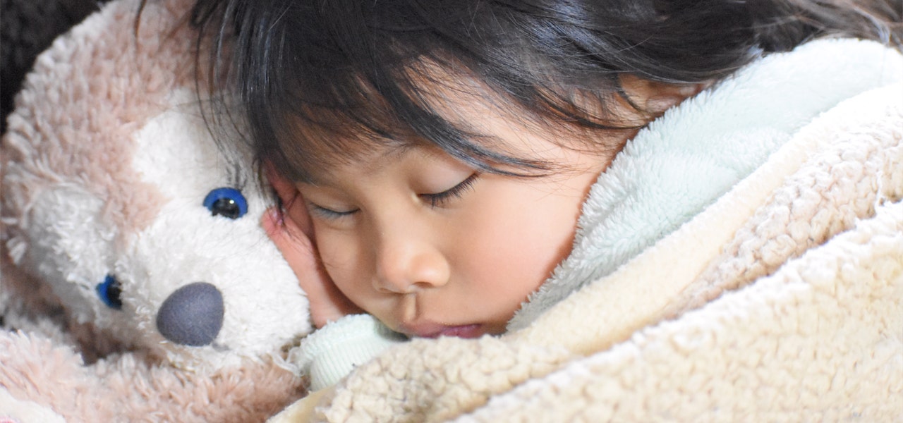 Toddler tucked into bed and napping with stuffed toy