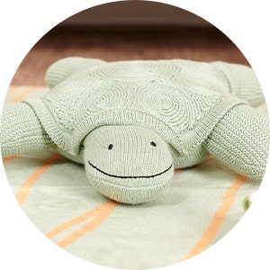 naturepedic stuffed animal Terry the turtle