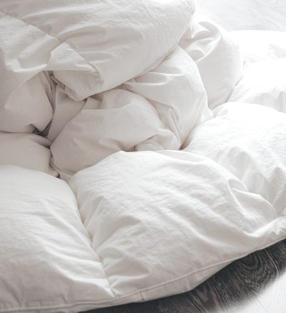 Shop Down Duvet Insert