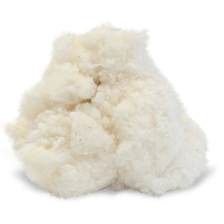 Fluffy chunk of organic cotton on white background