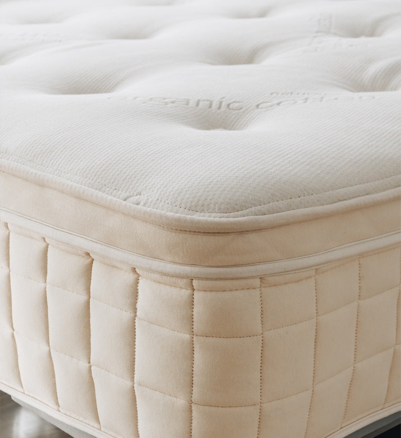 Shop Concerto Plush Pillow Top Organic Mattress