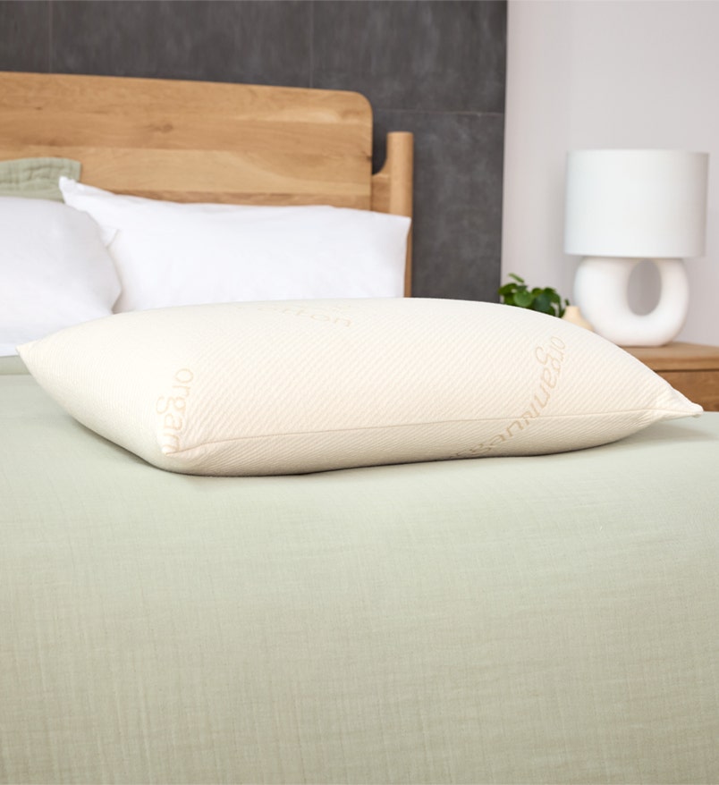 Shop Organic Solid Latex Pillow