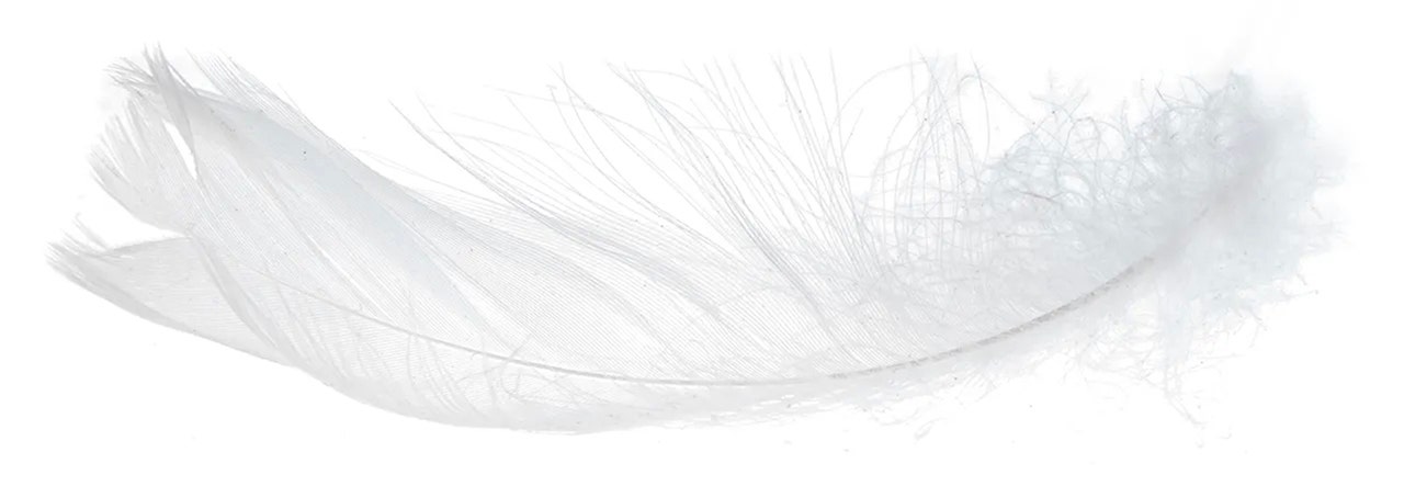 Down feather