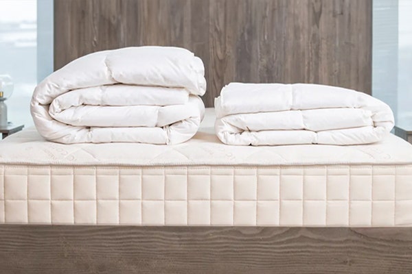 Down Duvet Insert
