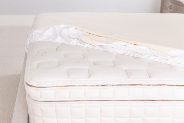 Organic Protector Pads
