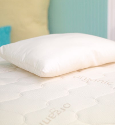 Shop Kids Non-Toxic PLA Pillow with Organic Fabric